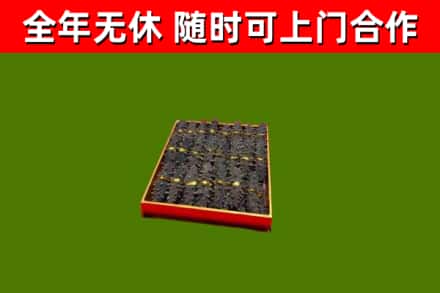 阎良回收海参